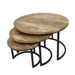 Natural Wood Round Nesting Coffee Table Set